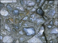 IDEAL project survey