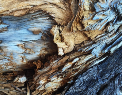 MOOC status in European HEIs - with special reference to opening up education for refugees 