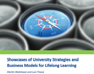 Showcases of University strategies 