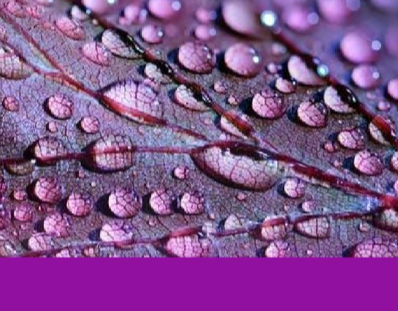 Innovative Models for Collaboration and Student Mobility in Europe 